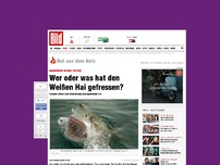 Bild zum Artikel: Ungeheuer in der Tiefsee - Wer oder was hat den Weißen Hai gefressen?