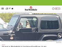 Bild zum Artikel: Bielefeld: Hund in Bielefeld in brütend heißem Auto eingesperrt