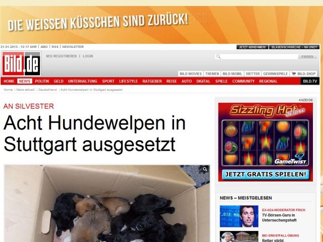 Bild zum Artikel: An Silvester - Acht Hundewelpen in Stuttgart ausgesetzt