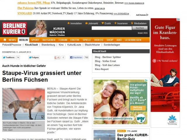 Bild zum Artikel: Auch Hunde in tödlicher Gefahr - Staupe-Virus grassiert unter Berlins Füchsen