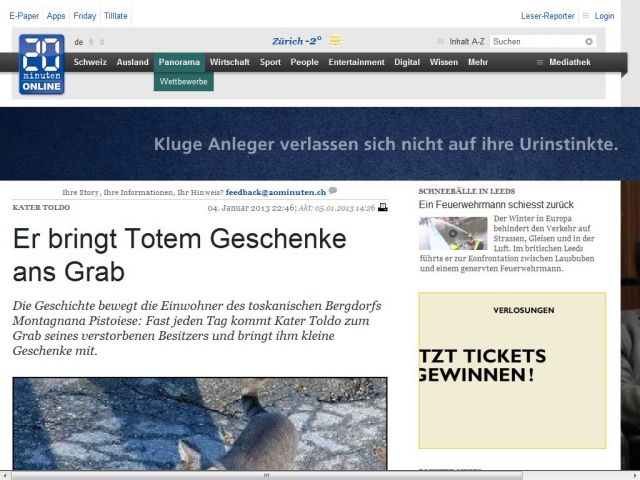 Bild zum Artikel: Kater Toldo: Er bringt Verstorbenem Geschenke ans Grab