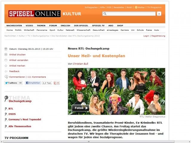 Bild zum Artikel: Neues RTL-Dschungelcamp: Unser Heil- und Kostenplan