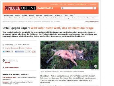 Bild zum Artikel: Urteil gegen Jäger: Wolf oder nicht Wolf, das ist nicht die Frage