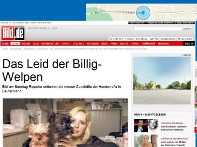 Bild zum Artikel: BamS entlarvt - Die miesen Geschäfte der Hundemafia