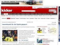 Bild zum Artikel: Lewandowski für drei Spiele gesperrt