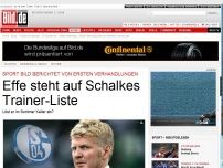 Bild zum Artikel: SPORT BILD berichtet - Effe steht auf Schalkes Trainer-Liste