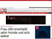 Bild zum Artikel: Drama in Bayern - Frau erschießt zehn Hunde und sich selbst