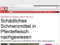 Bild zum Artikel: Lebensmittel-Skandal - Pferde-Fleisch in Lasagne gefunden