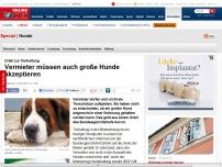 Bild zum Artikel: Urteil zur Tierhaltung - Vermieter müssen auch große Hunde akzeptieren