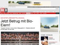 Bild zum Artikel: Lebensmittel-Skandal - Nach Pferdefleisch: Jetzt Betrug mit Bio-Eiern!
