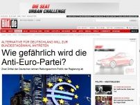 Bild zum Artikel: Anti-Euro-Partei - Wie gefährlich wird 'Alternative für Deutschland'?