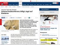 Bild zum Artikel: Schwarzer Tag für den Tierschutz - Artenschutzkonferenz billigt Jagd auf Eisbären