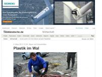 Bild zum Artikel: Steuer auf Einkaufstüten: Plastik im Wal