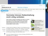 Bild zum Artikel: Urteil zu Tierhaltung: Vermieter können Katzen nicht völlig verbieten