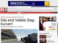 Bild zum Artikel: Malaysia-Strecke im Video - Das sind Vettels Sieg-Kurven!