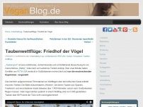 Bild zum Artikel: Taubenwettflüge: Friedhof der Vögel