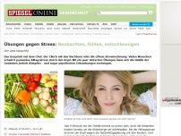 Bild zum Artikel: Übungen gegen Stress: Beobachten, fühlen, entschleunigen