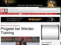 Bild zum Artikel: Arnautovic und Sokratis - Prügelei bei Werder-Training