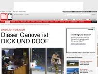 Bild zum Artikel: Gaga-Video - Dieser Ganove ist DICK UND DOOF