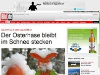 Bild zum Artikel: Kälter als Weihnachten! - Der Osterhase bleibt im Schnee stecken