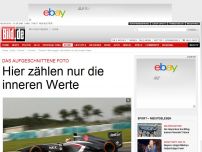 Bild zum Artikel: Das aufgeschnittene Foto - Hier zählen nur die inneren Werte