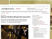 Bild zum Artikel: Rechtsradikale: 
			  Zyperns Goldene Morgenröte marschiert