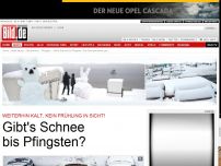 Bild zum Artikel: Kein Frühling in Sicht! - Gibt's Schnee bis Pfingsten?