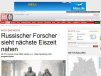 Bild zum Artikel: Auch das noch! - Russischer Forscher sieht nächste Eiszeit nahen