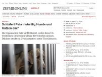 Bild zum Artikel: Tierschutz: 
			  Schläfert Peta mutwillig Hunde und Katzen ein?