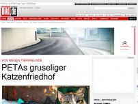 Bild zum Artikel: Von wegen Tierfreunde - PETAs gruseliger Katzenfriedhof