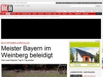 Bild zum Artikel: Buchstaben-Anschlag - Meister Bayern im Weinberg beleidigt