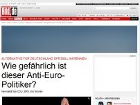 Bild zum Artikel: Anti-Euro-Partei steht - Wie gefährlich sind die Euro-Hasser?