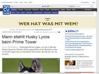 Bild zum Artikel: Losgebunden, mitgenommen: Mann stiehlt Husky Lycos beim Prime Tower