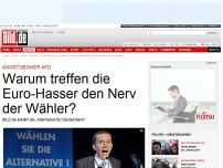 Bild zum Artikel: Angstgegner AfD - Wie ticken die Euro-Hasser wirklich?