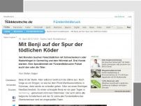 Bild zum Artikel: Suche nach Hundehasser: Mit Benji auf der Spur der tödlichen Köder