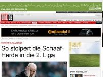 Bild zum Artikel: Werder-Blamage - So stolpert die Schaaf- Herde in die 2. Liga