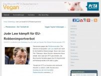 Bild zum Artikel: Jude Law kämpft für EU-Robbenimportverbot