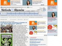 Bild zum Artikel: Band fühlt sich als Opfer der Antifa - Musikfestival gegen Rassismus in Potsdam ist nach 'Rufmordkampagne' gefährdet