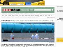 Bild zum Artikel: Fukushima: Reaktoren laufen mit radioaktivem Grundwasser voll