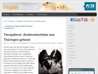 Bild zum Artikel: Tierquälerei: Armbrustschütze aus Thüringen gefasst