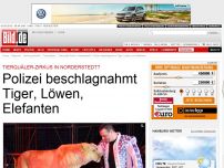 Bild zum Artikel: Tierquäler-Zirkus in Norderstedt? - Polizei beschlagnahmt Tiger, Löwen und Elefanten