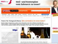 Bild zum Artikel: Feiern für Fortgeschrittene: Wie verhindere ich einen Kater?