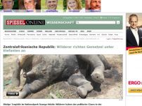 Bild zum Artikel: Zentralafrikanische Republik: Wilderer richten Gemetzel unter Elefanten an