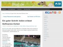 Bild zum Artikel: Ein guter Schritt: Indien erlässt Delfinarien-Verbot