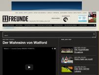 Bild zum Artikel: Der Wahnsinn von Watford