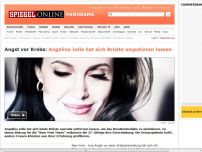Bild zum Artikel: Angst vor Krebs: Angelina Jolie hat sich Brüste amputieren lassen