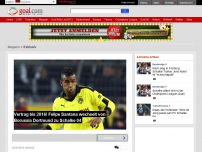 Bild zum Artikel: Vertrag bis 2016! Felipe Santana wechselt von Borussia Dortmund zu Schalke 04