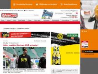 Bild zum Artikel: Wechsel perfekt: Santana geht vom BVB zu Schalke