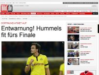 Bild zum Artikel: Entwarnung! - BVB-Star Hummels fit für Wembley