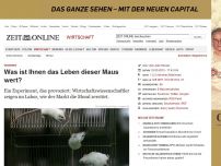 Bild zum Artikel: Ökonomie: 
			  Was ist Ihnen das Leben dieser Maus wert?